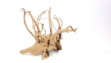 Goldvine Spiderwood