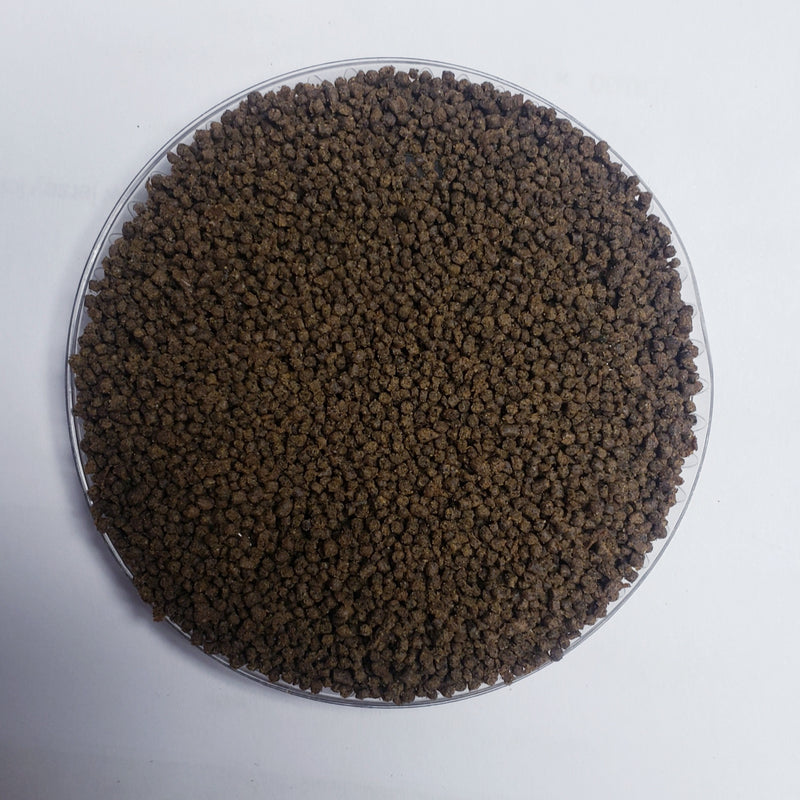 Inhouse High Protein Betta/Guppy Mini Sinking Pellets