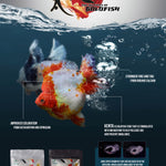 CZ AQUA Kenta for all types of goldfish 1.5mm 150gm