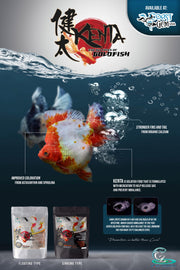 CZ AQUA Kenta for all types of goldfish 1.5mm 150gm