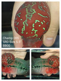 (CHAMP-5) Super Red Dragon Flowerhorn 5.50 inch