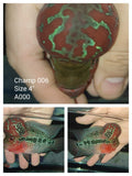 (CHAMP-6) Super Red Dragon Flowerhorn 4.00 inch