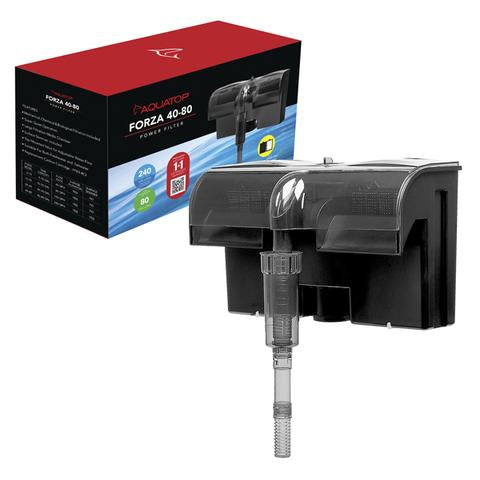 H Live Betta Fish Female Plakat Blue Marble (PPD-280)