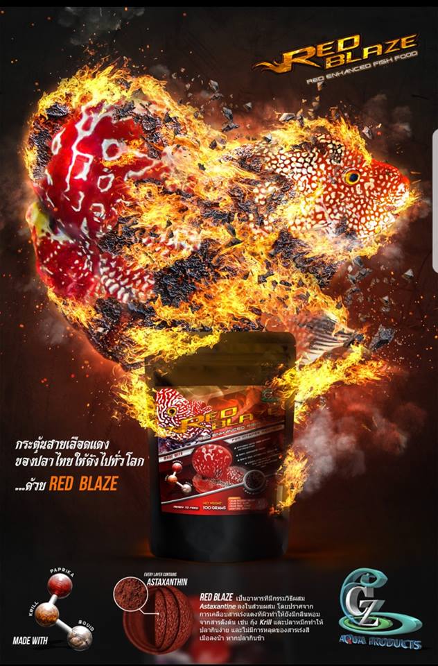 CZ AQUA Red Blaze Color Enhancement Food 100gm
