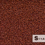 Color Enhancing Premium Fish Food - Floating