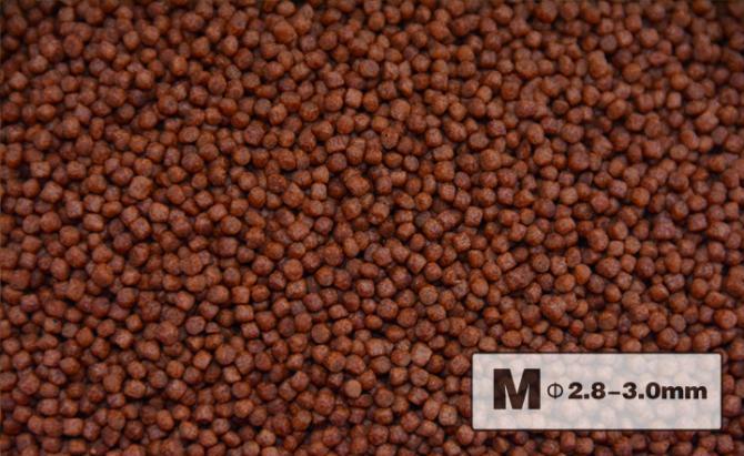 Color Enhancing Premium Fish Food - Floating